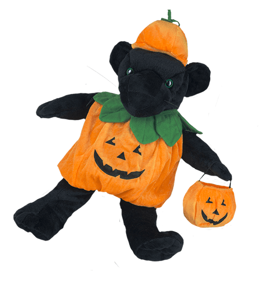 A black teddy bear with a pumpkin costume.