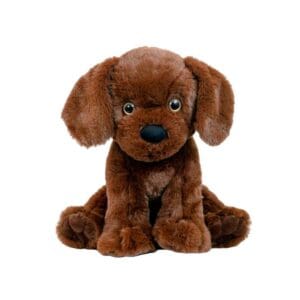 A brown dog sitting on top of a white table.