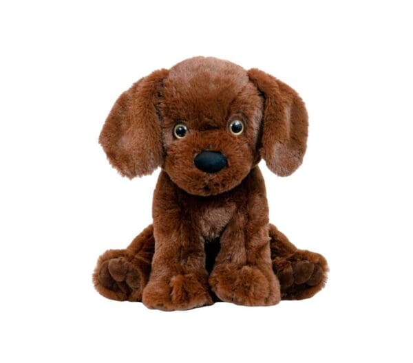 A brown dog sitting on top of a white table.