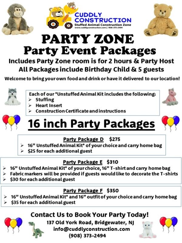 A party zone package for birthday and event