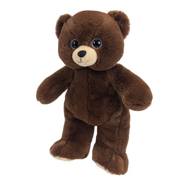 A brown teddy bear with blue eyes and a white nose.