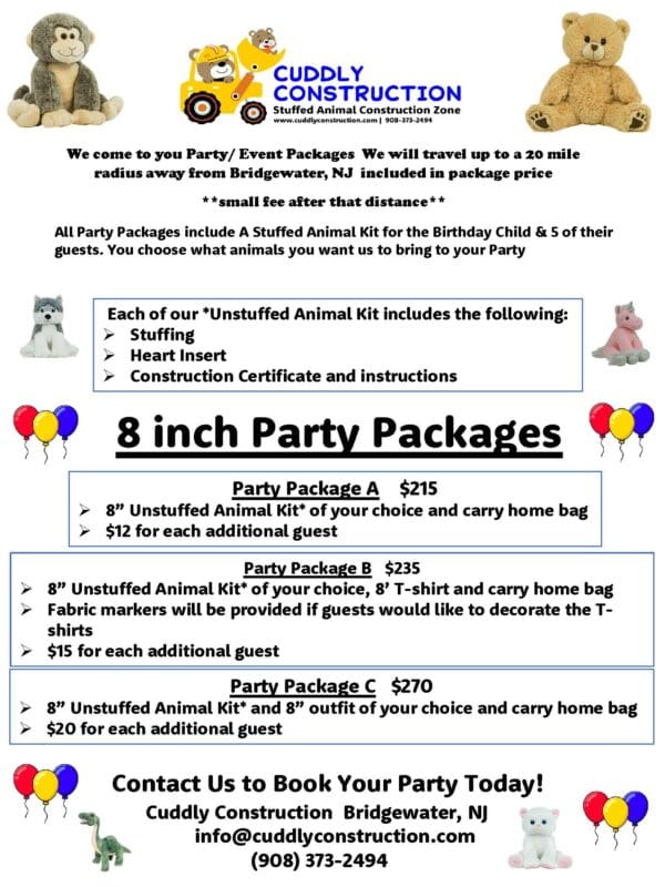 We Come To You Birthday Party Package A