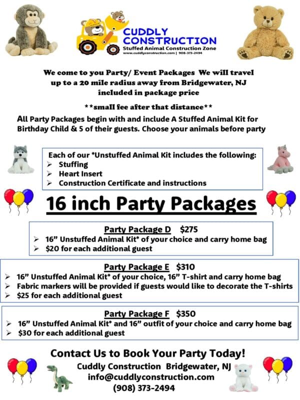 We Come To You Birthday Party Package E